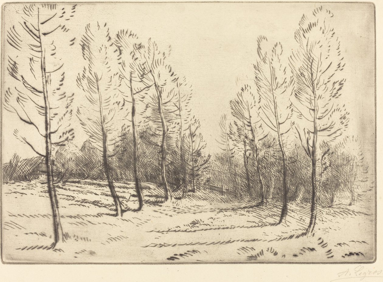 Aleja topoli Aleja topoli. autorstwa Alphonse Legros