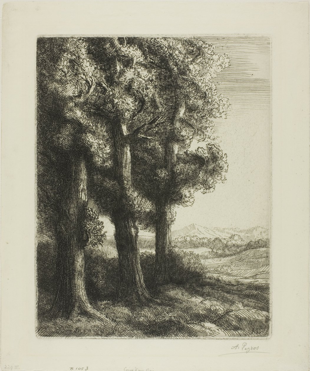 Krawędź lasu autorstwa Alphonse Legros