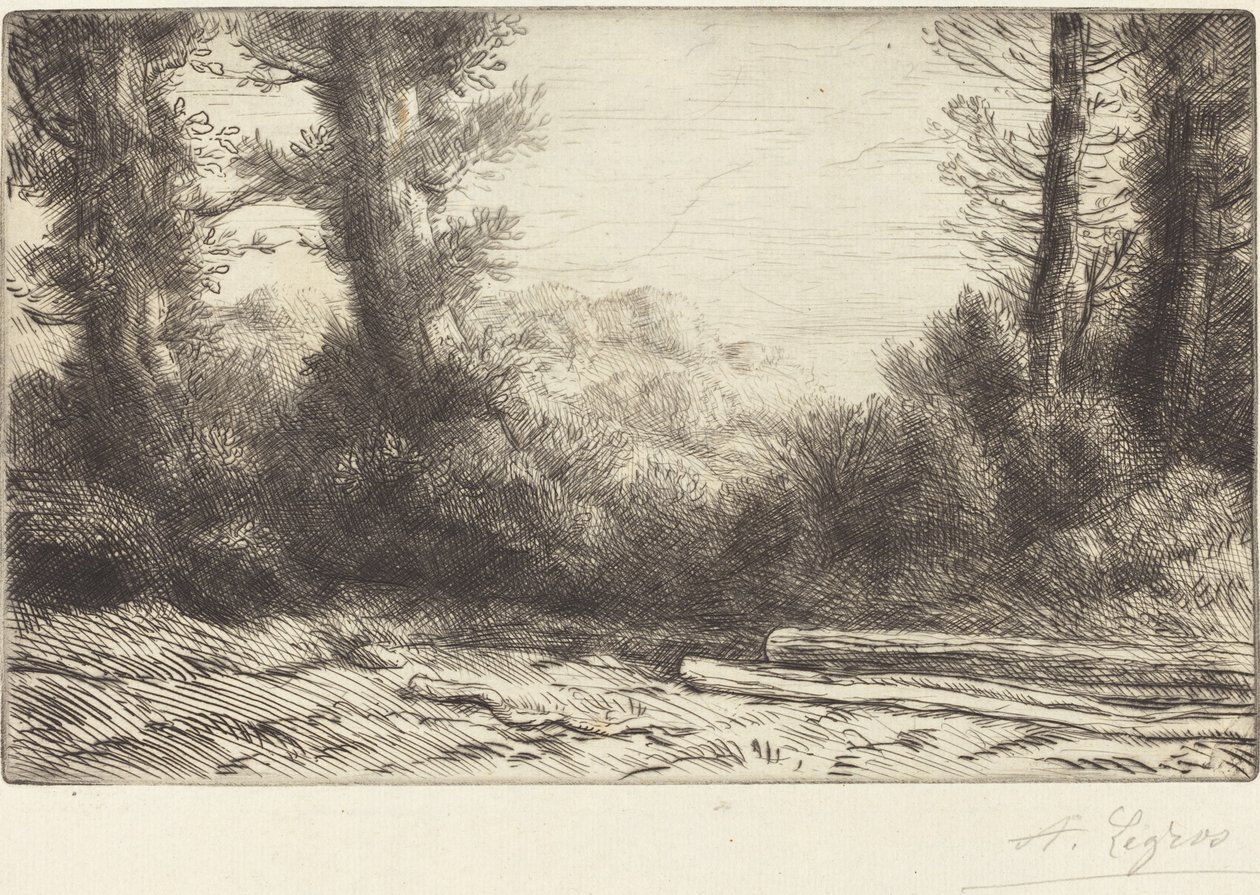 Edge of the Wood Lisiere de bois. autorstwa Alphonse Legros