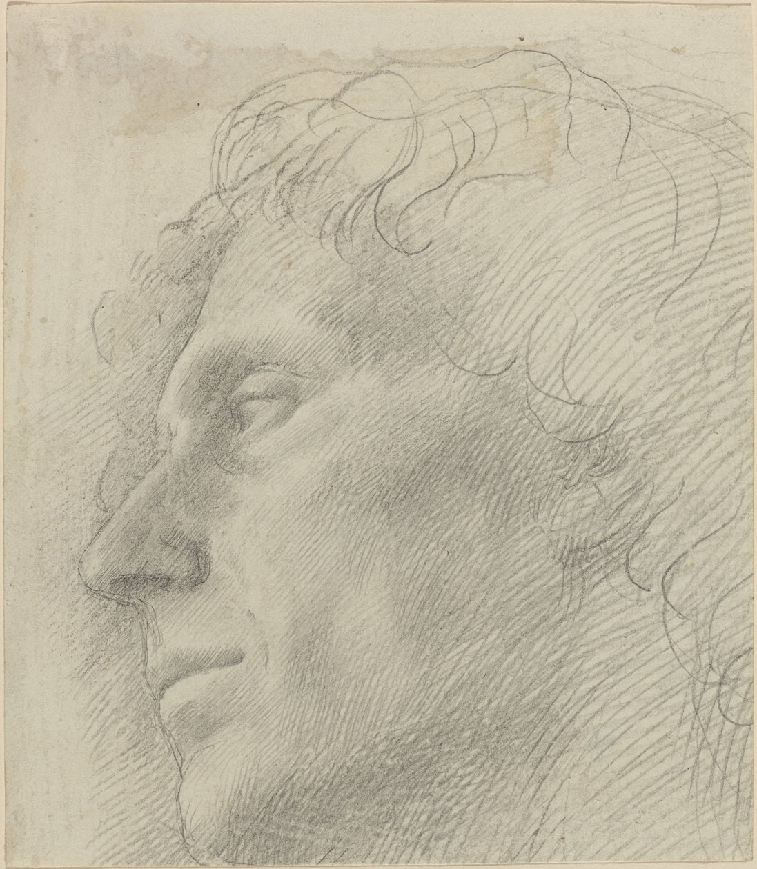 Głowa mężczyzny skierowanego w lewo. autorstwa Alphonse Legros