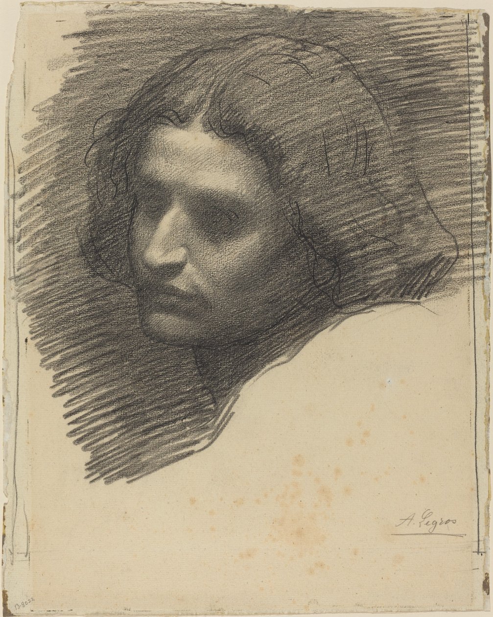 Głowa mężczyzny zwróconego w lewo [rekto]. autorstwa Alphonse Legros