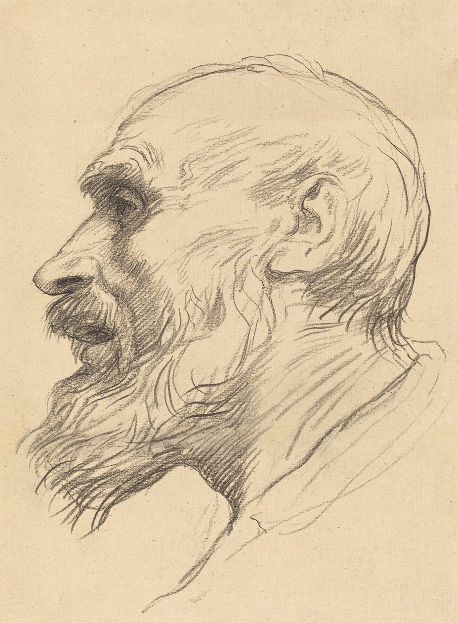 Głowa starego człowieka. autorstwa Alphonse Legros