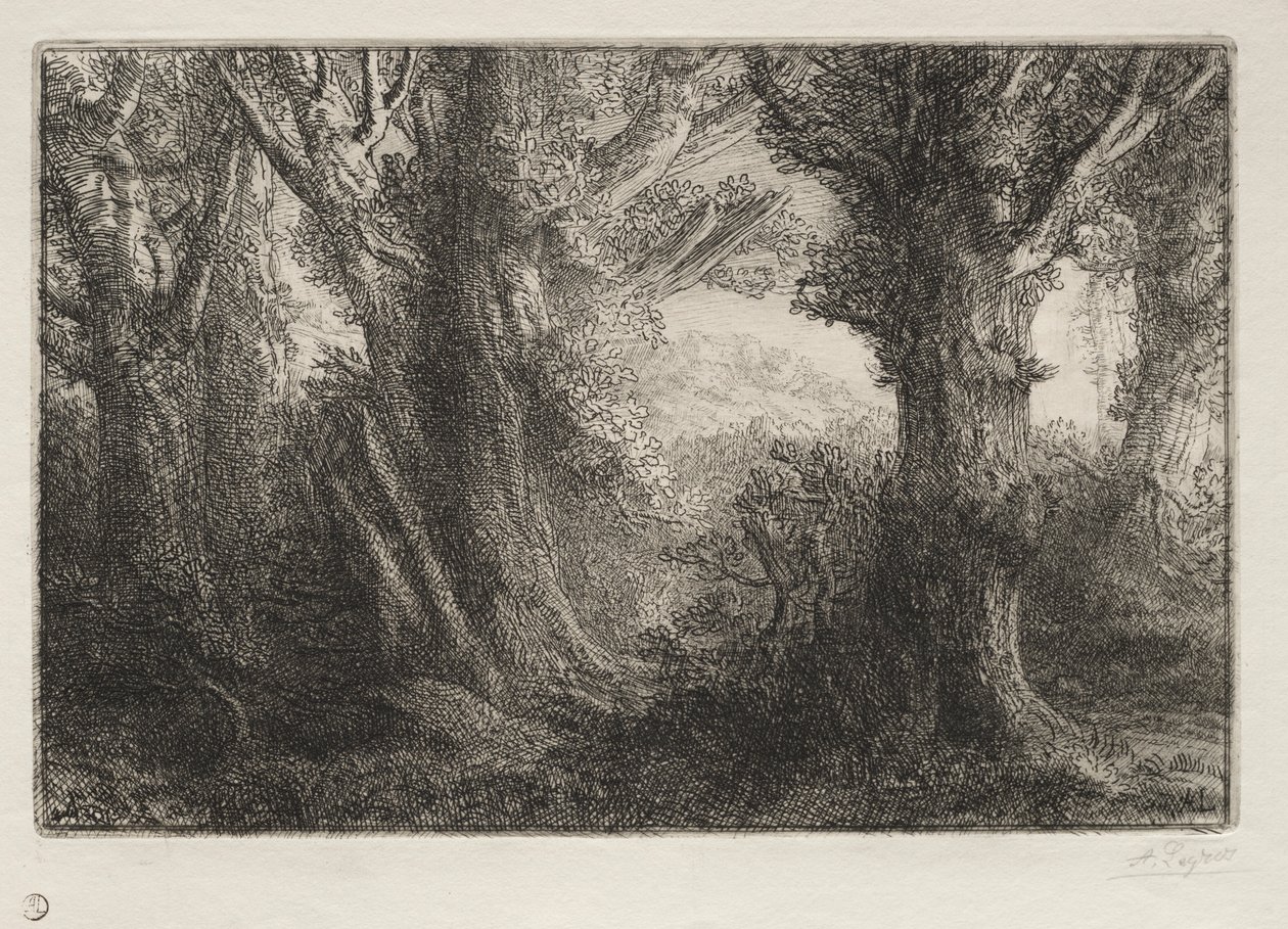 W lesie w Conteville. autorstwa Alphonse Legros