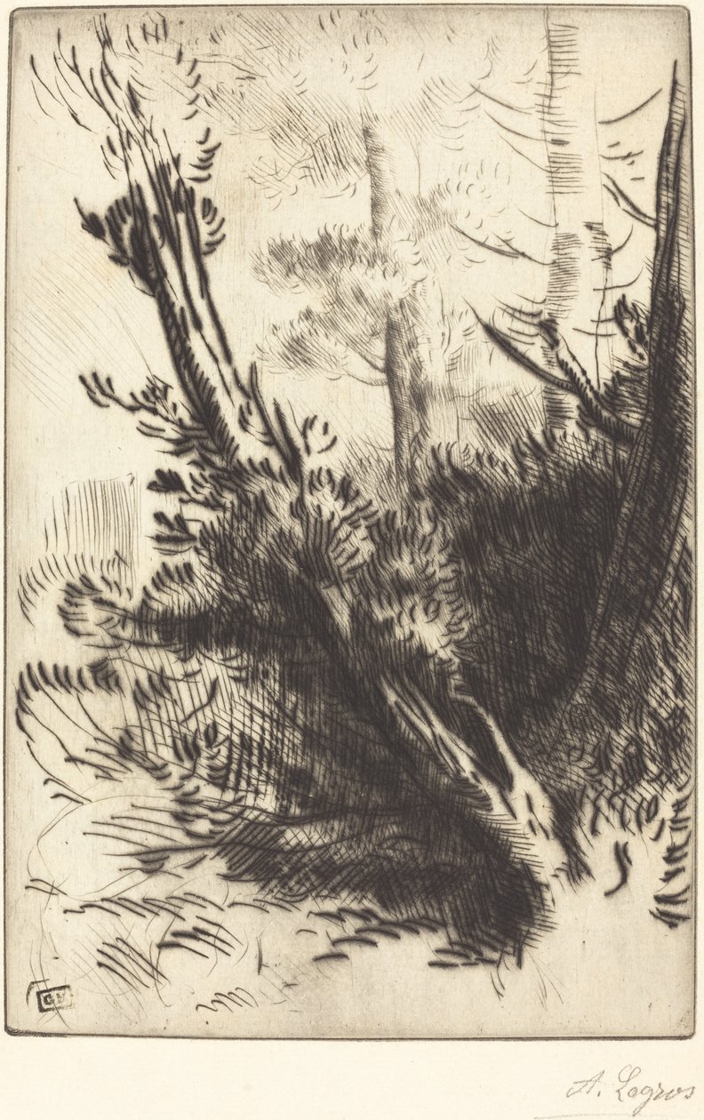 W lesie autorstwa Alphonse Legros