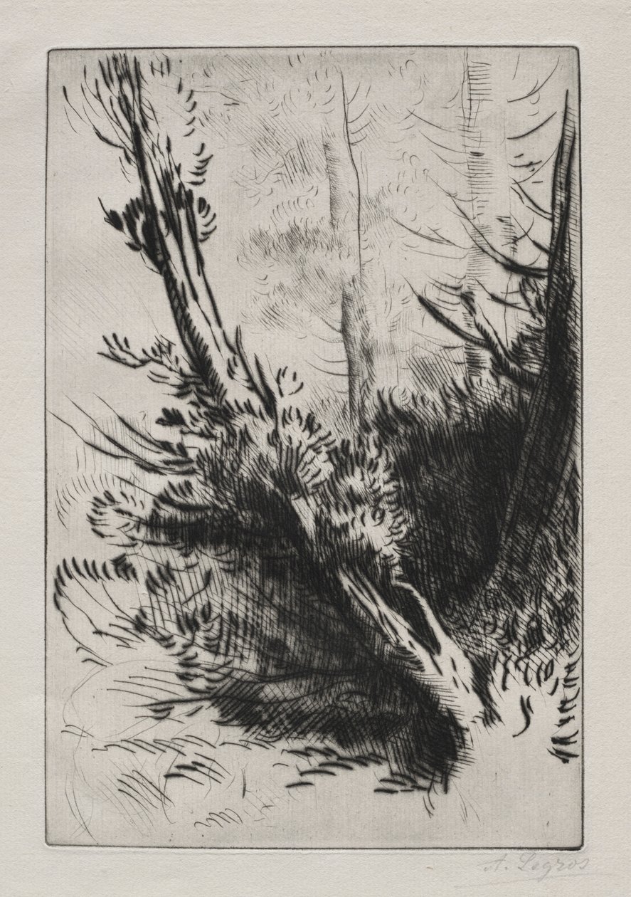 W lesie. autorstwa Alphonse Legros