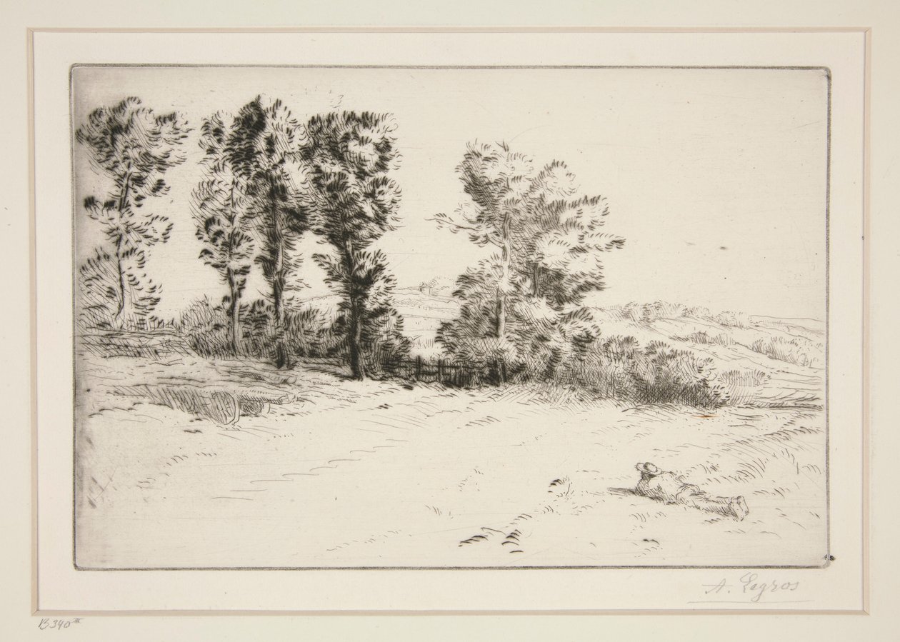 Le pre ensoleille (Łąka w słońcu) autorstwa Alphonse Legros
