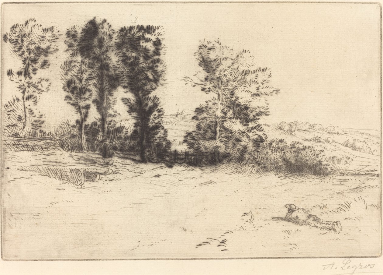 Łąka w Sunshine Le pre ensoleille. autorstwa Alphonse Legros