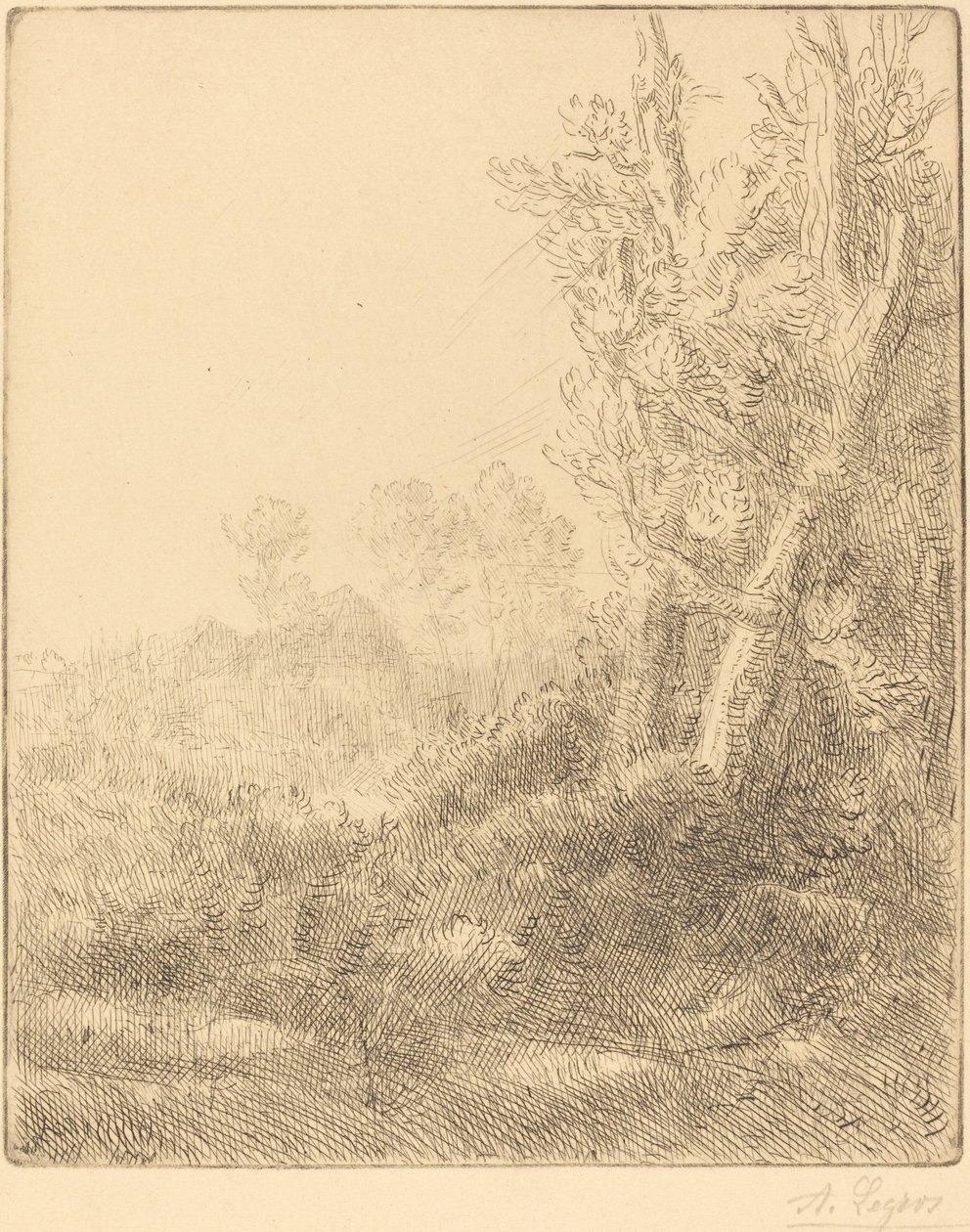 Stare Miasto Stare Miasto. autorstwa Alphonse Legros