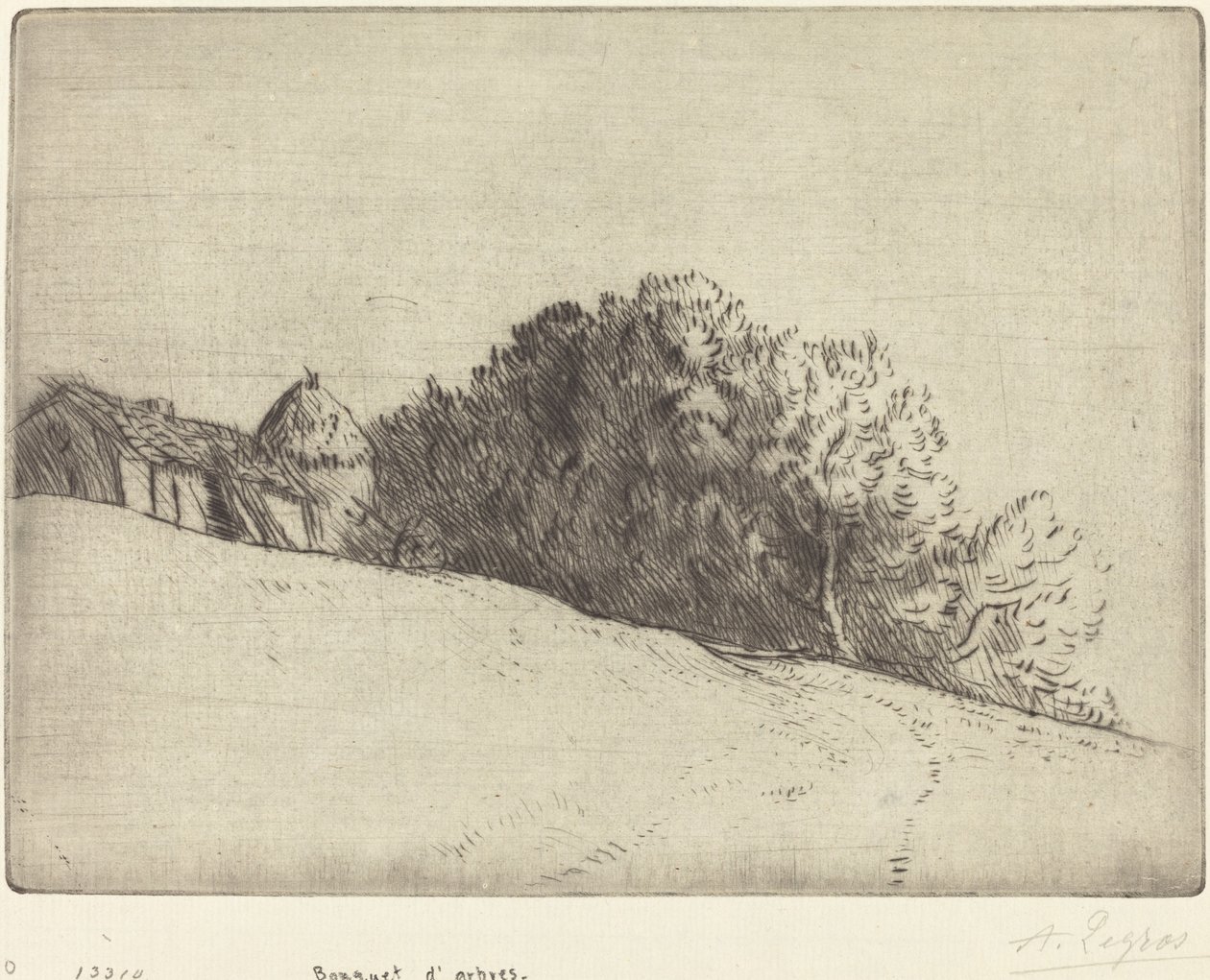 Stoisko Drzew (Bukiet d