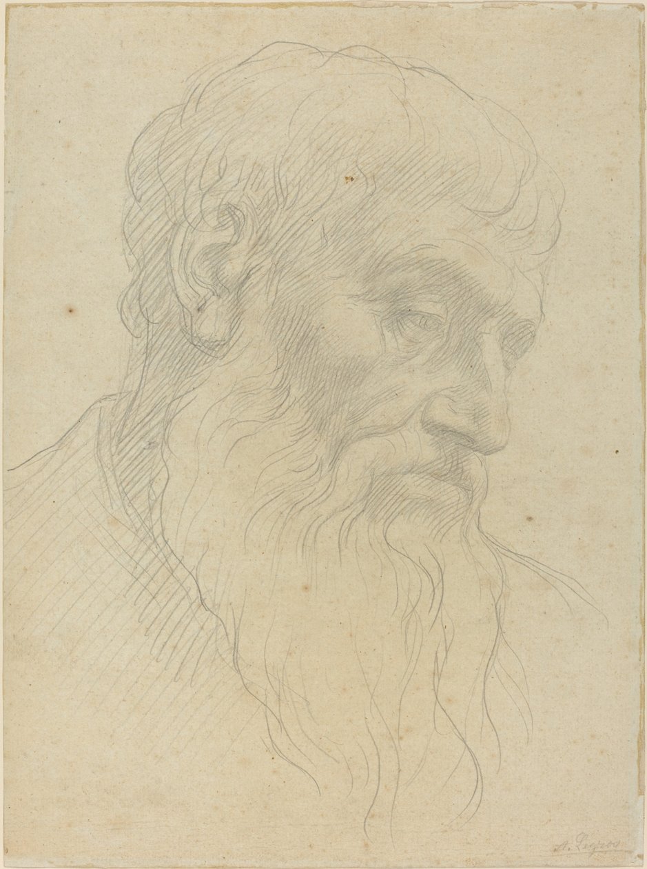 Studium głowy autorstwa Alphonse Legros