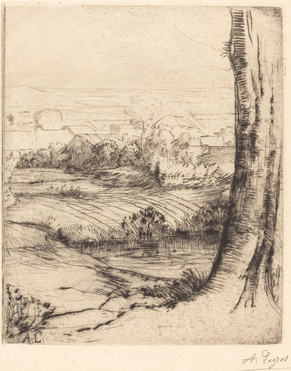 Widok na stroiki Coin de roseau. autorstwa Alphonse Legros