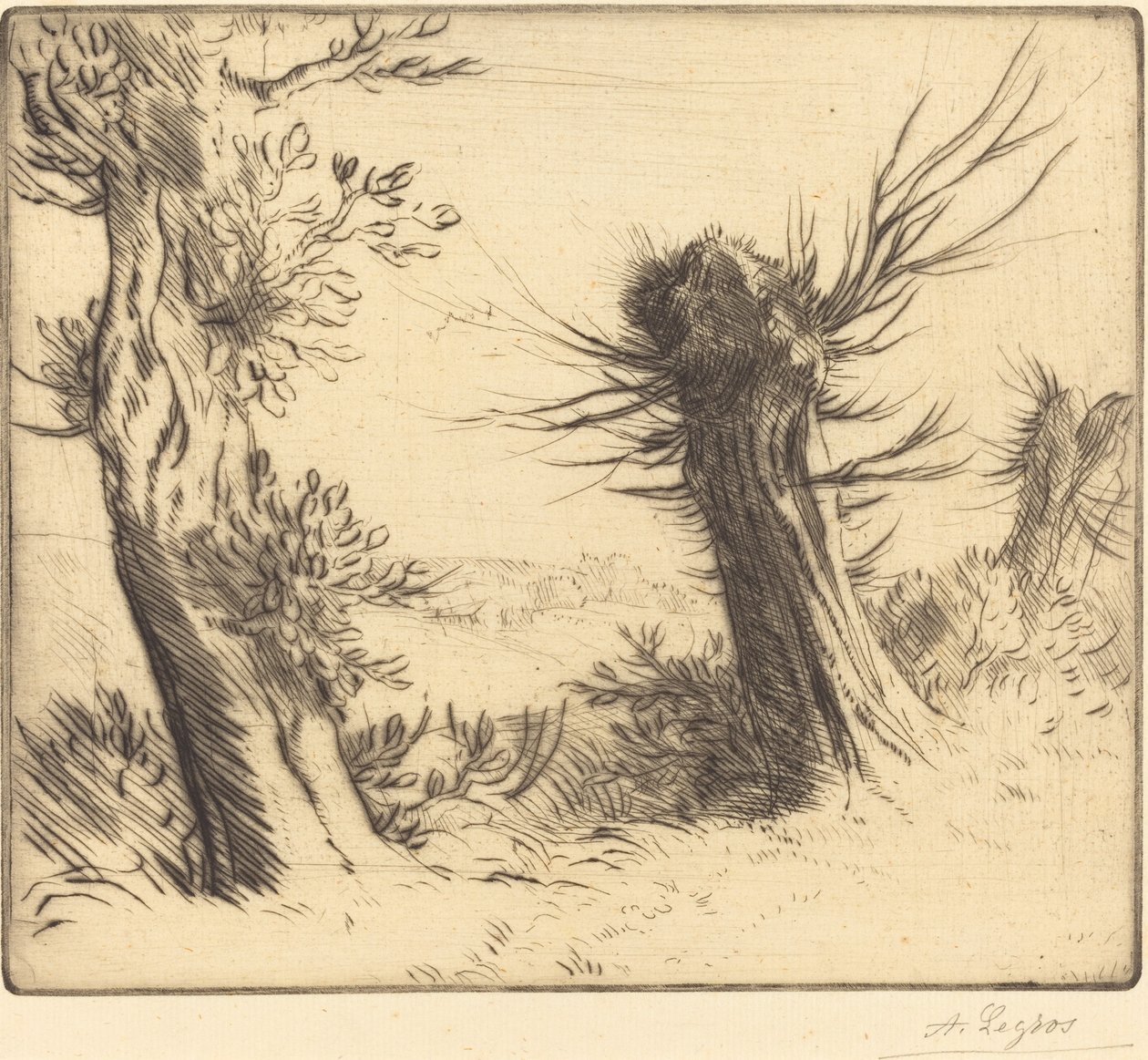 Wierzby (Les saules) autorstwa Alphonse Legros