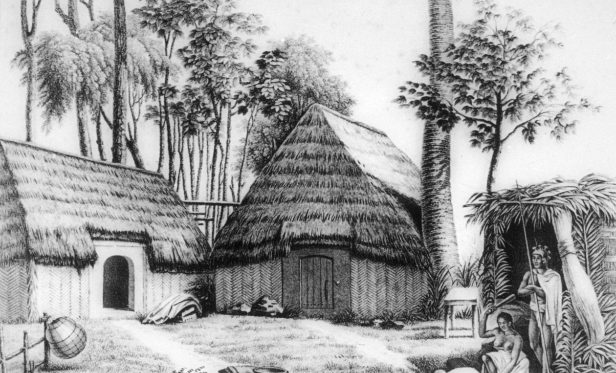 Dom wodza, Kalaimoku, 1819. autorstwa Alphonse Pellion