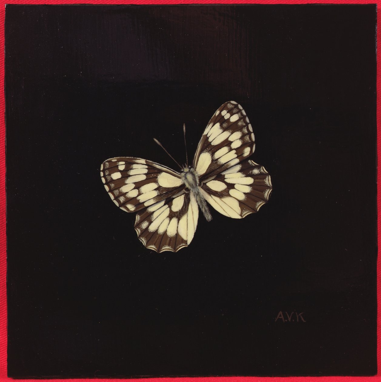 Biały motyl marmurkowy, 2000 autorstwa Amelia Kleiser