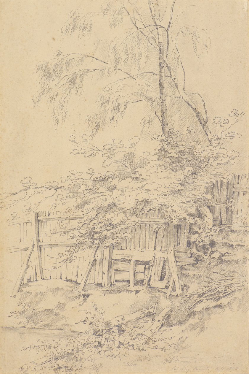 Bromley Hill autorstwa Amelia Long