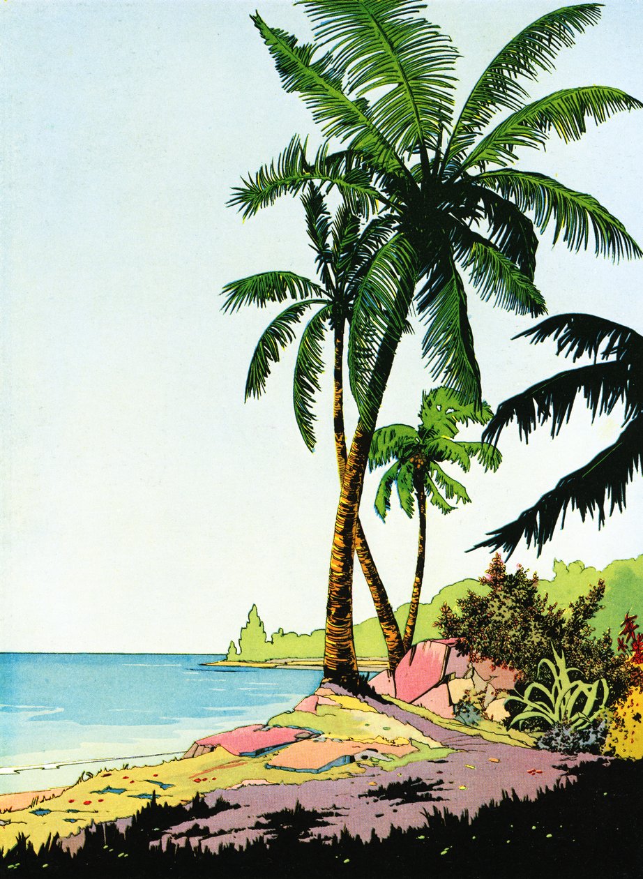 Ilustracja Beach Paradise z palmami autorstwa American School
