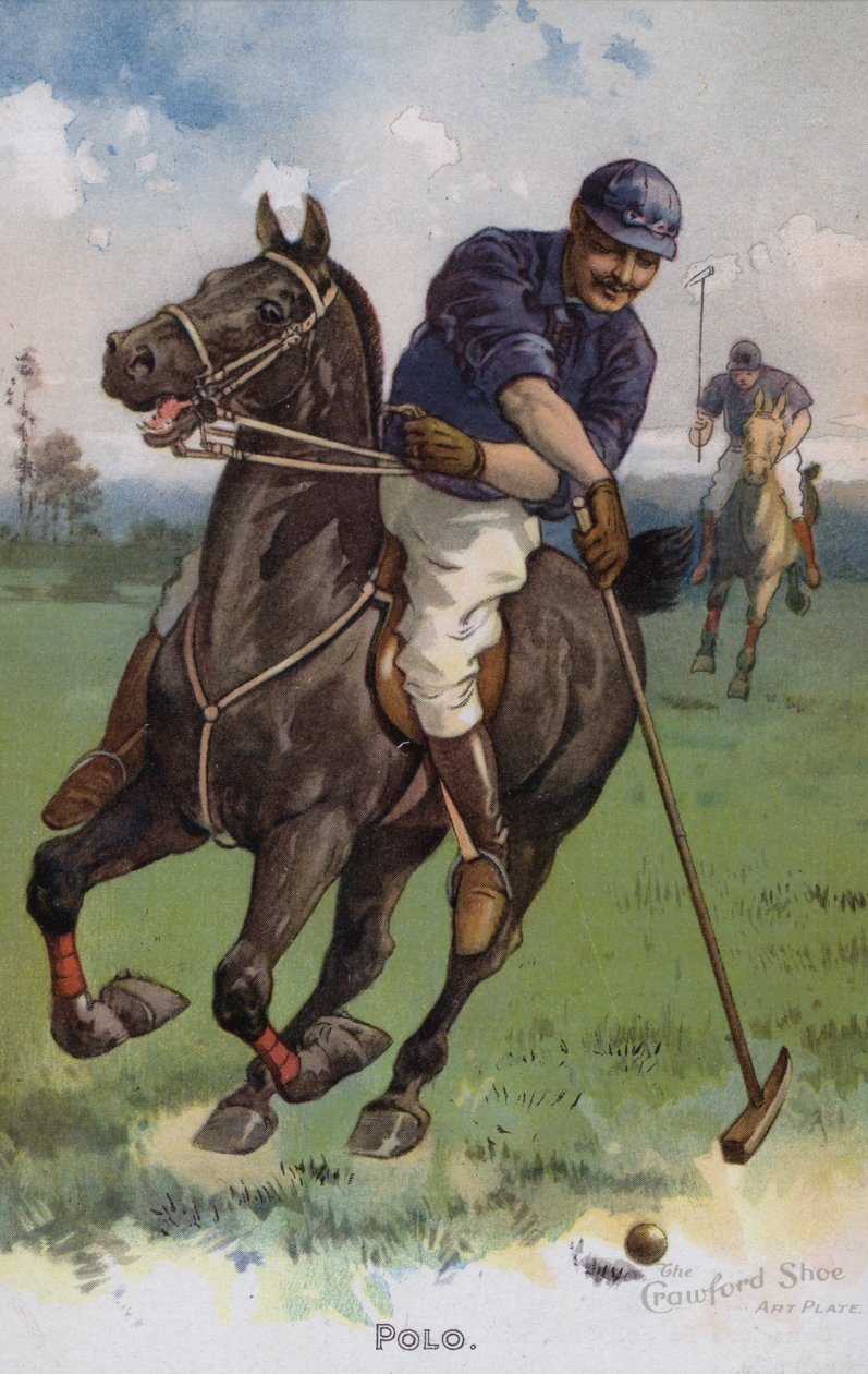 Polo (druk kolorowy) autorstwa American School