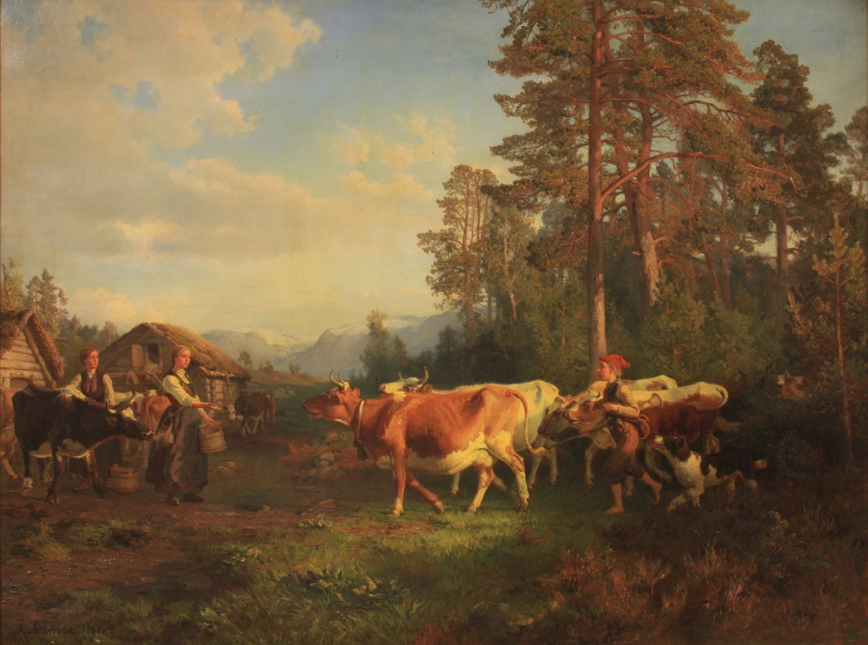 Bydło w drodze do domu autorstwa Anders Askevold