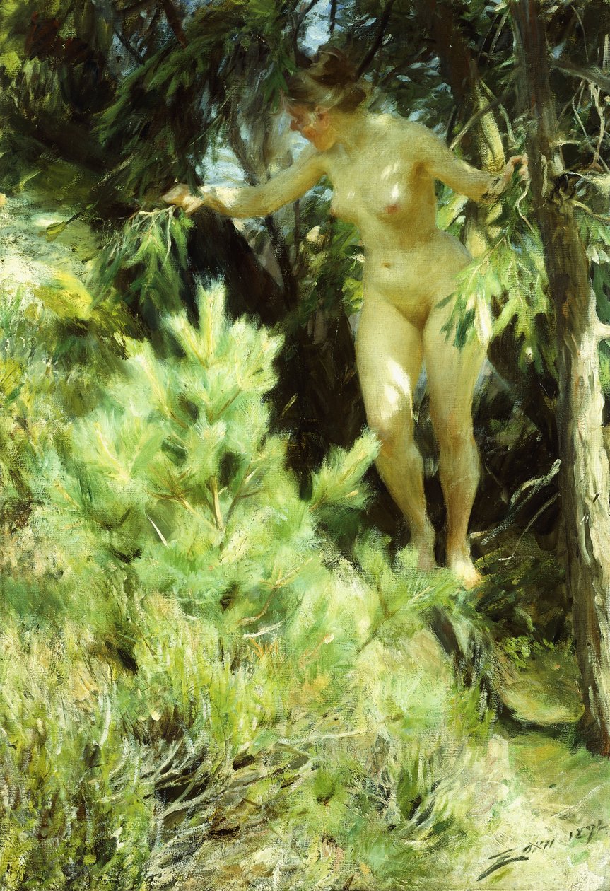 Drewno-Sprite, 1892 autorstwa Anders Leonard Zorn