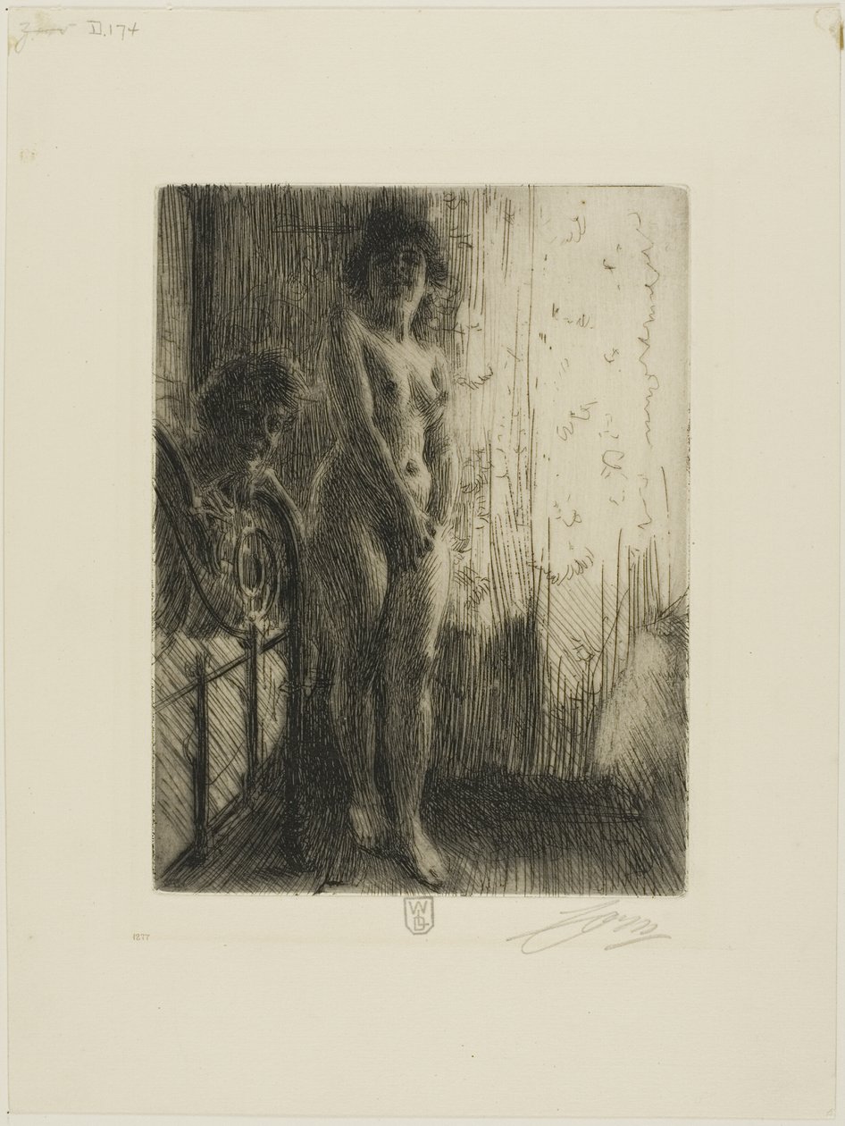 Ciemny zakątek autorstwa Anders Leonard Zorn