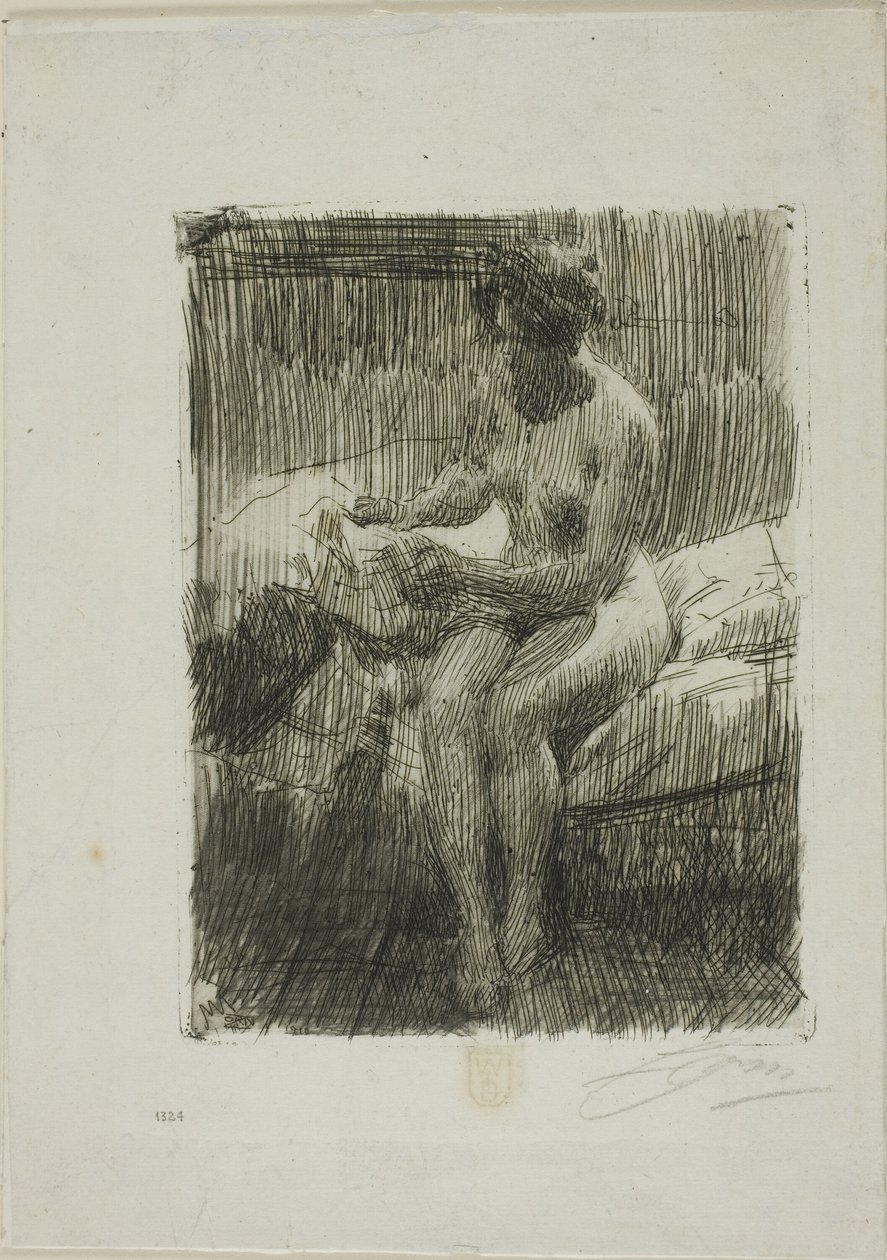 Odczyt modelu autorstwa Anders Leonard Zorn