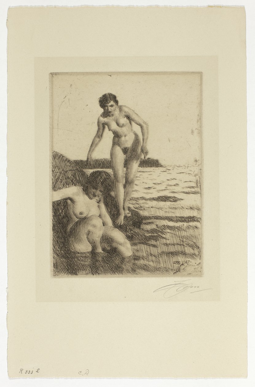 Na wyspie Hemsö autorstwa Anders Leonard Zorn