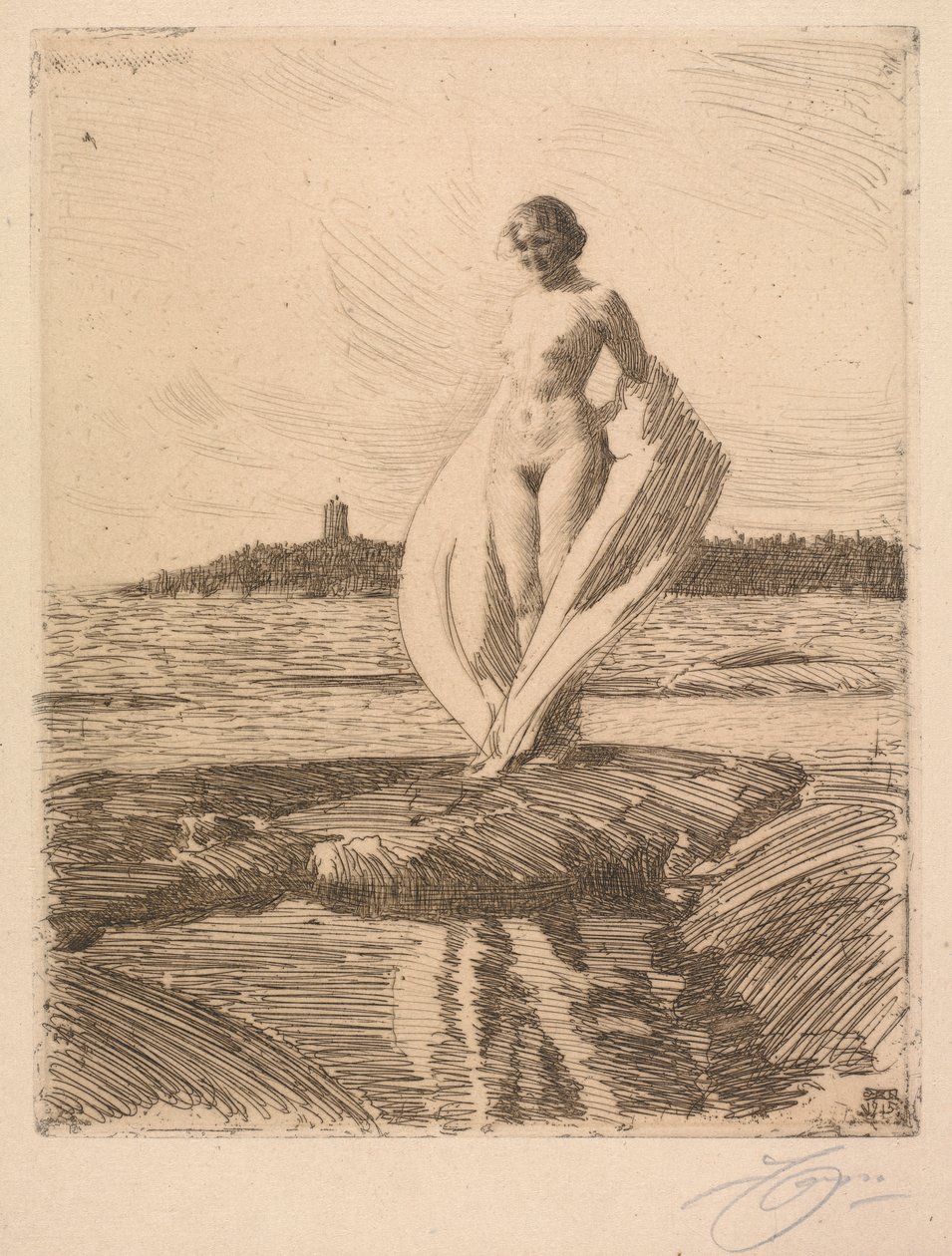 Łabądź autorstwa Anders Leonard Zorn