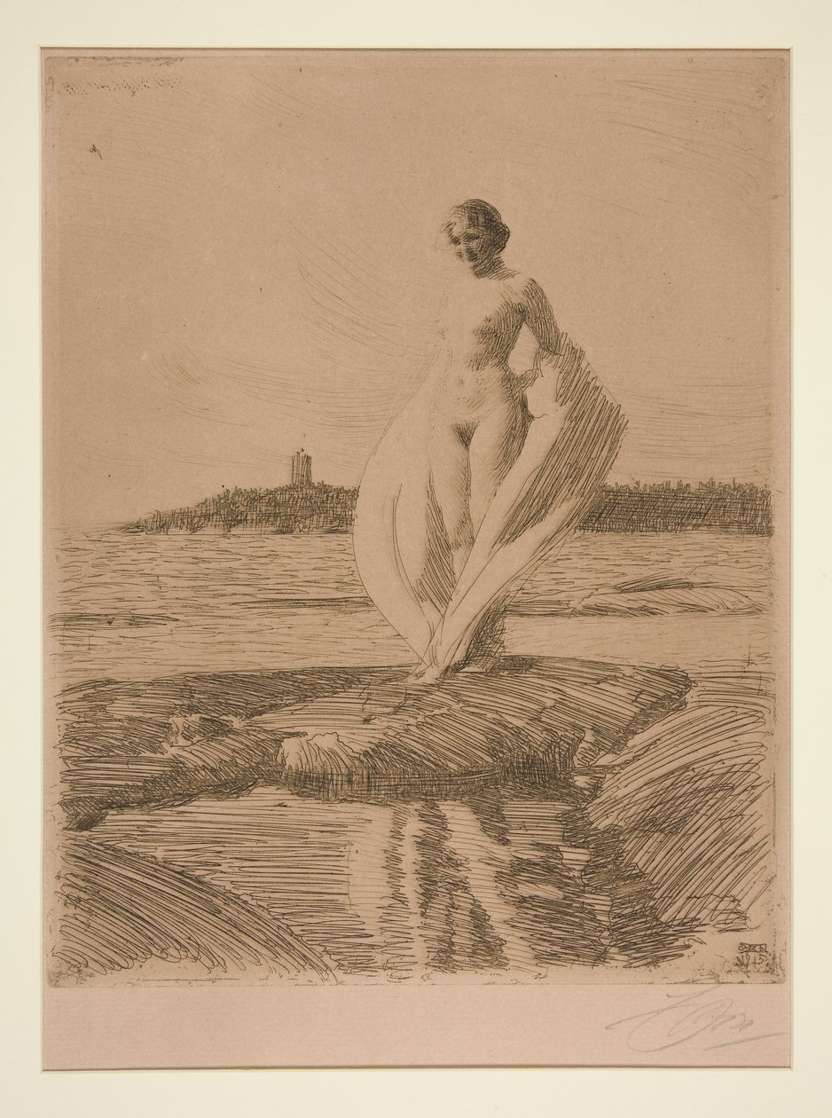Łabądź autorstwa Anders Leonard Zorn