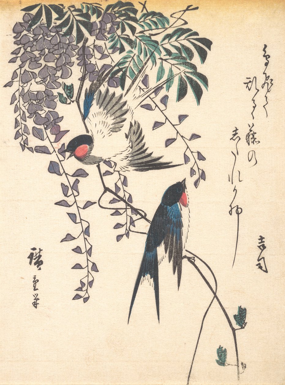 Jaskółka i Wisteria, połowa lat 40. XIX wieku, połowa lat 40. XIX wieku. autorstwa Ando Hiroshige