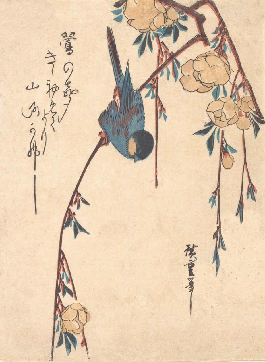 Płacząca Wiśnia. autorstwa Ando Hiroshige
