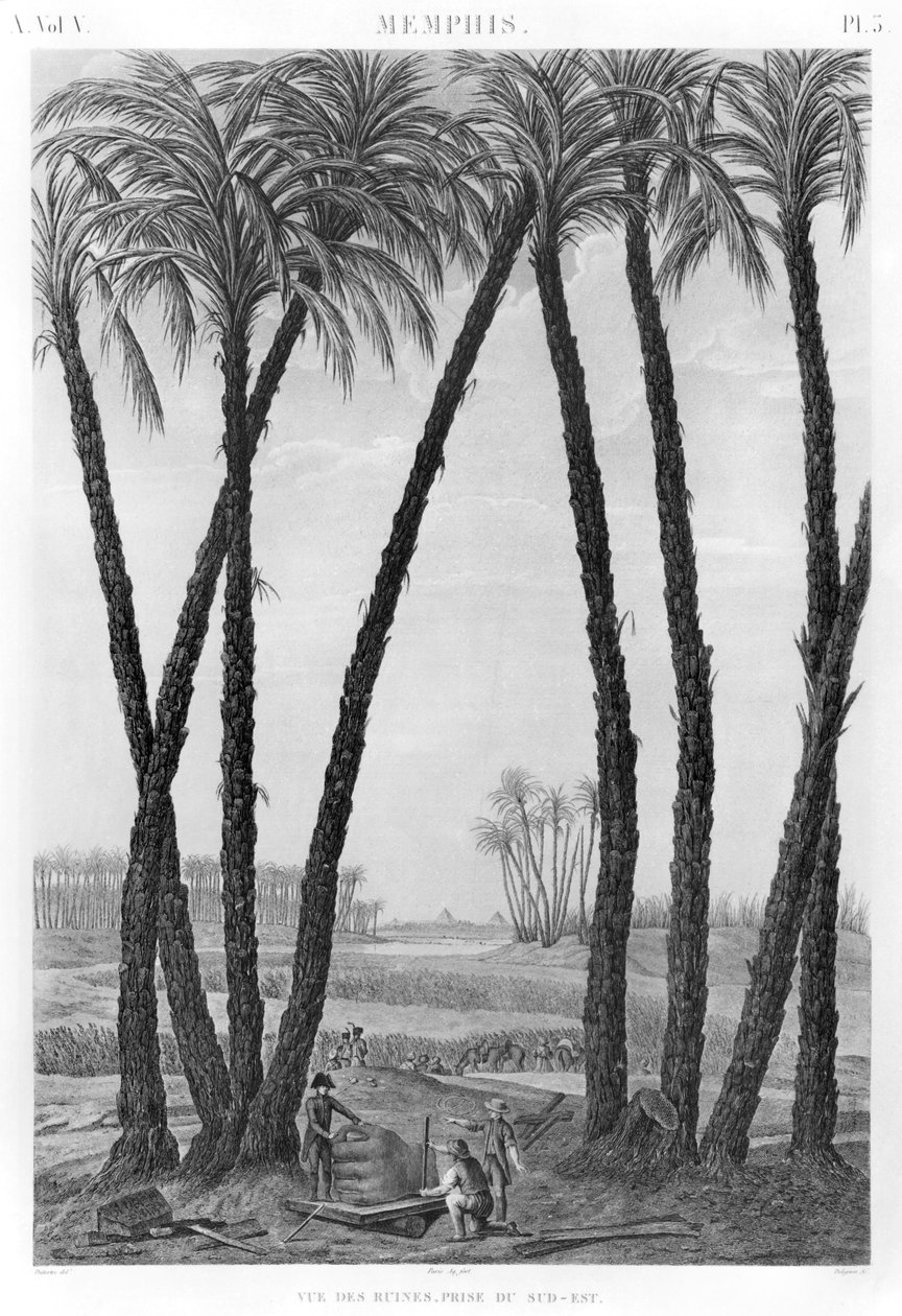 Widok ruin Memphis widziany od południowego wschodu, rytowany przez Jean Louis Delignon (1755-1804) autorstwa Andre Dutertre