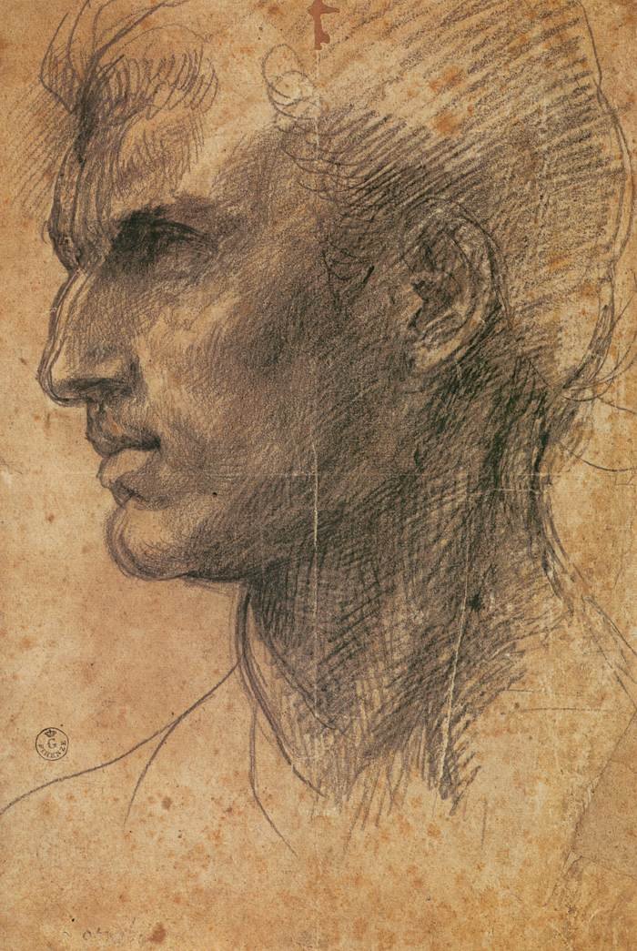 Głowa mężczyzny w profilu zwróconym w lewo autorstwa Andrea del Sarto