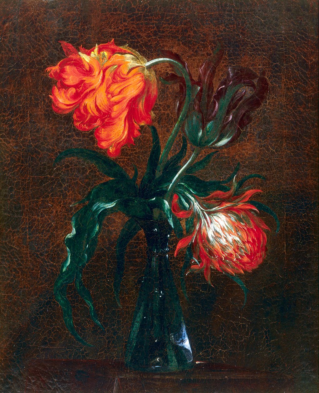Szklany wazon z dwoma tulipanami autorstwa Andrea the Elder Scacciati