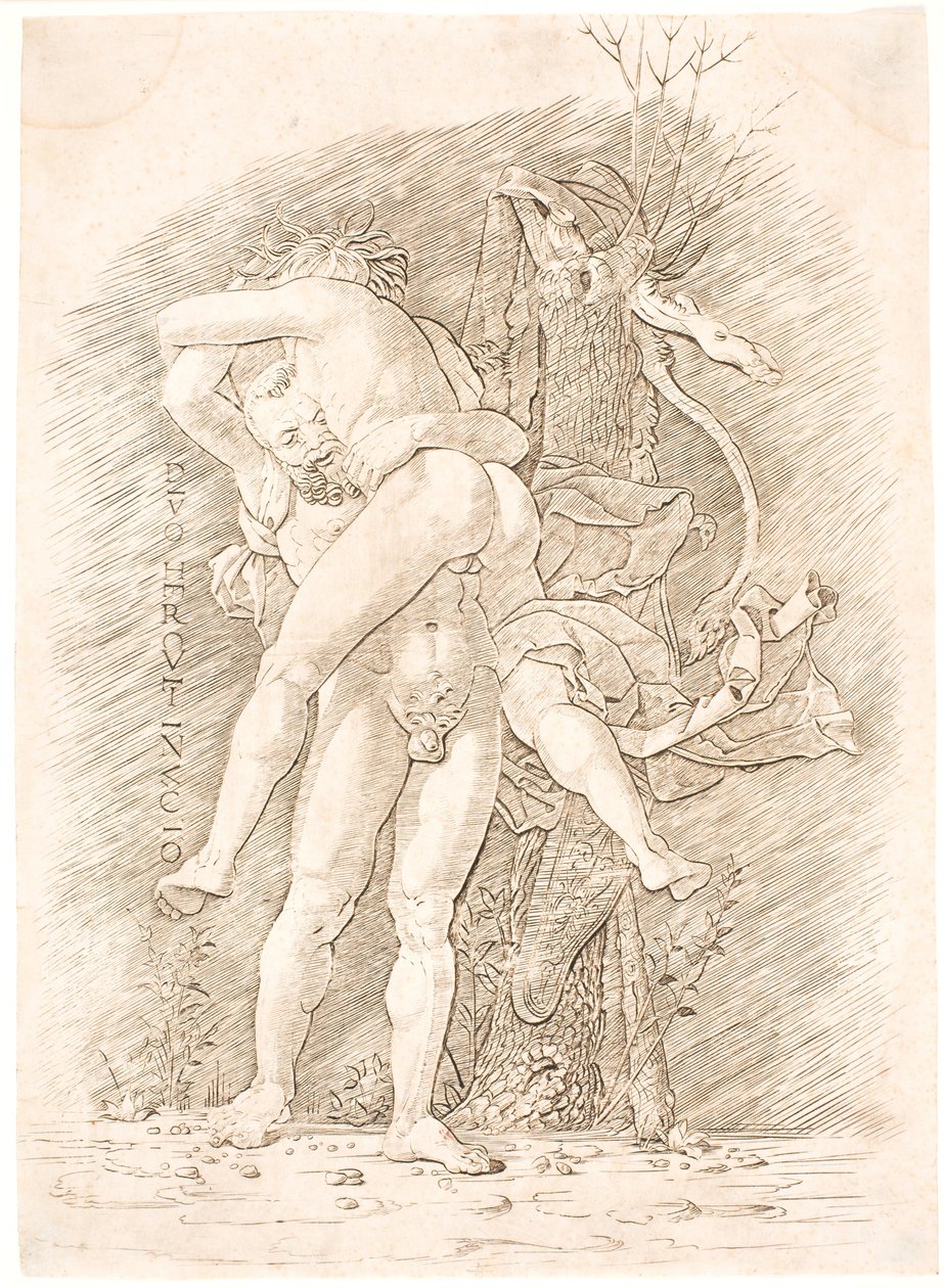 Herkules i Anteusz autorstwa Andrea Mantegna
