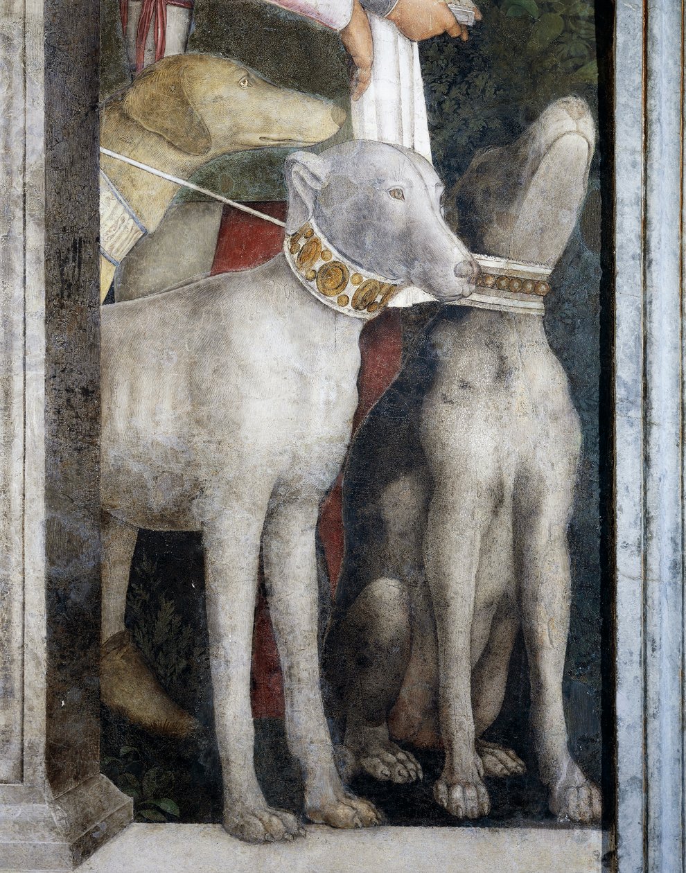 Molosy, fragment ze ściany spotkań autorstwa Andrea Mantegna