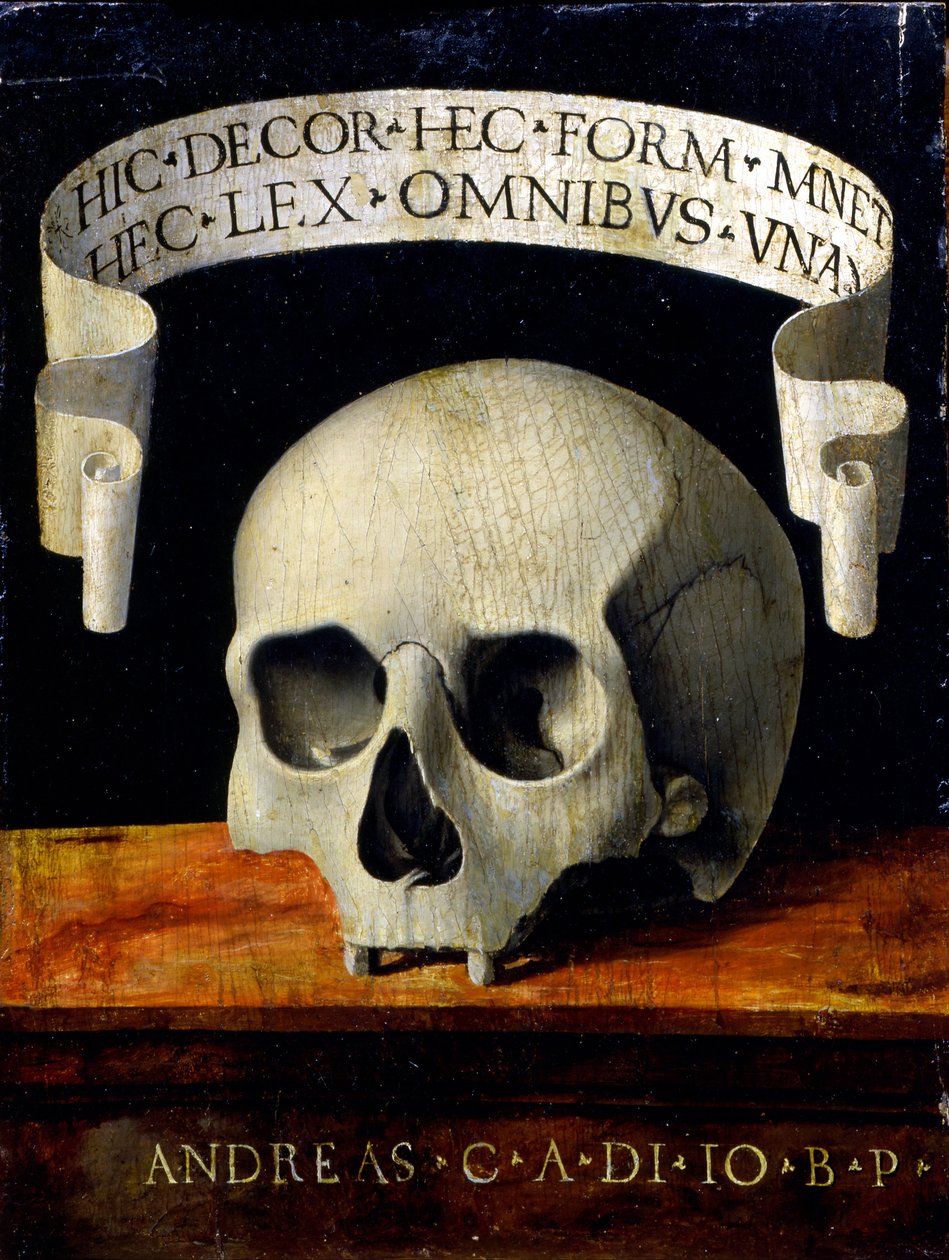 Memento Mori, początek XVI wieku. autorstwa Andrea Previtali