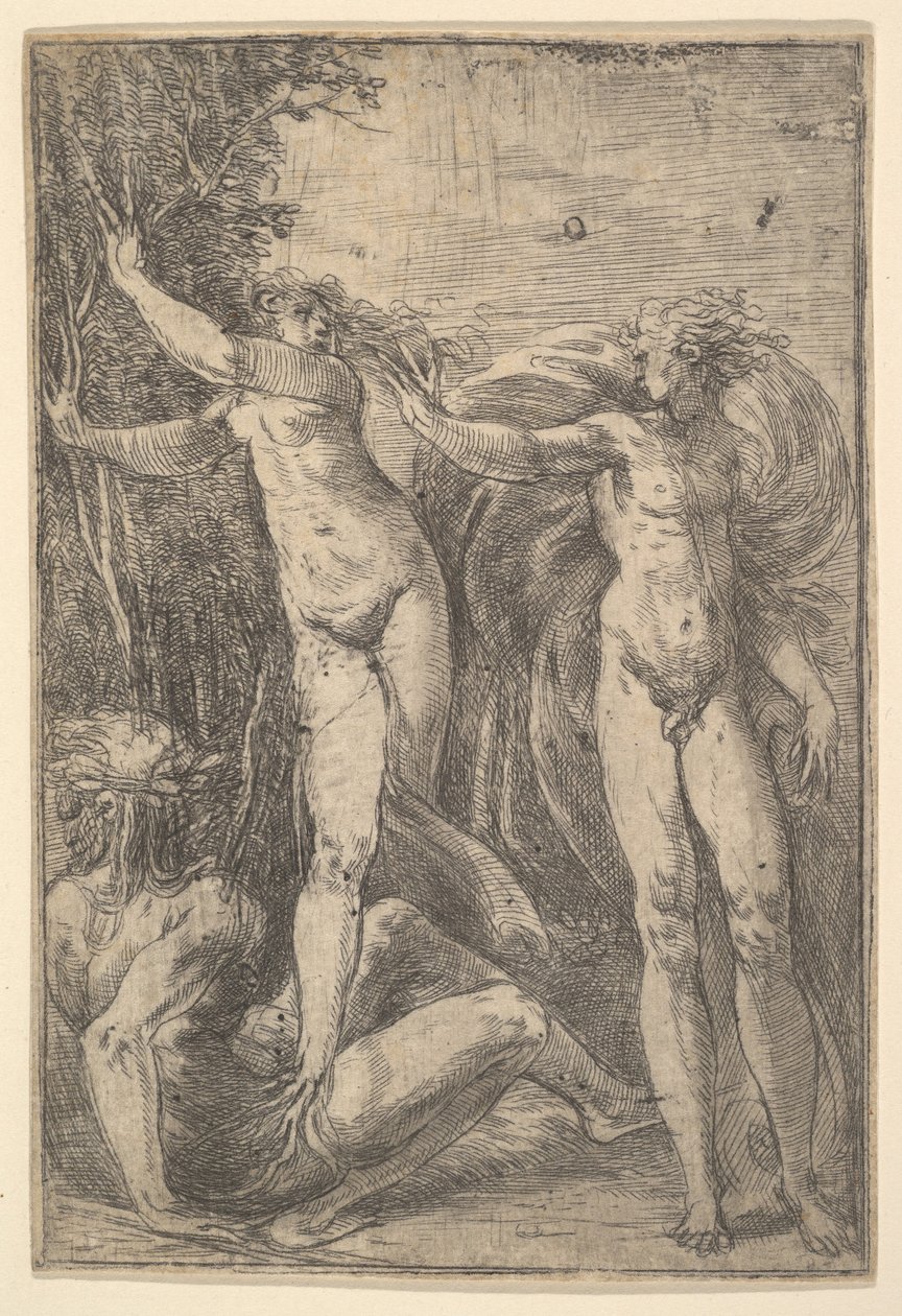 Apollo i Daphne, ca. 1538-40. autorstwa Andrea Schiavone