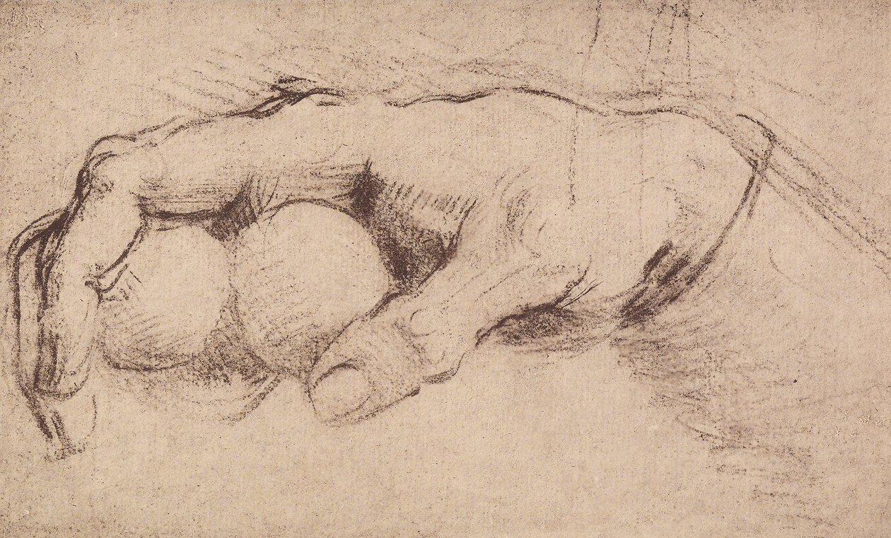 Ręka; rysunek autorstwa Andrea del Sarto