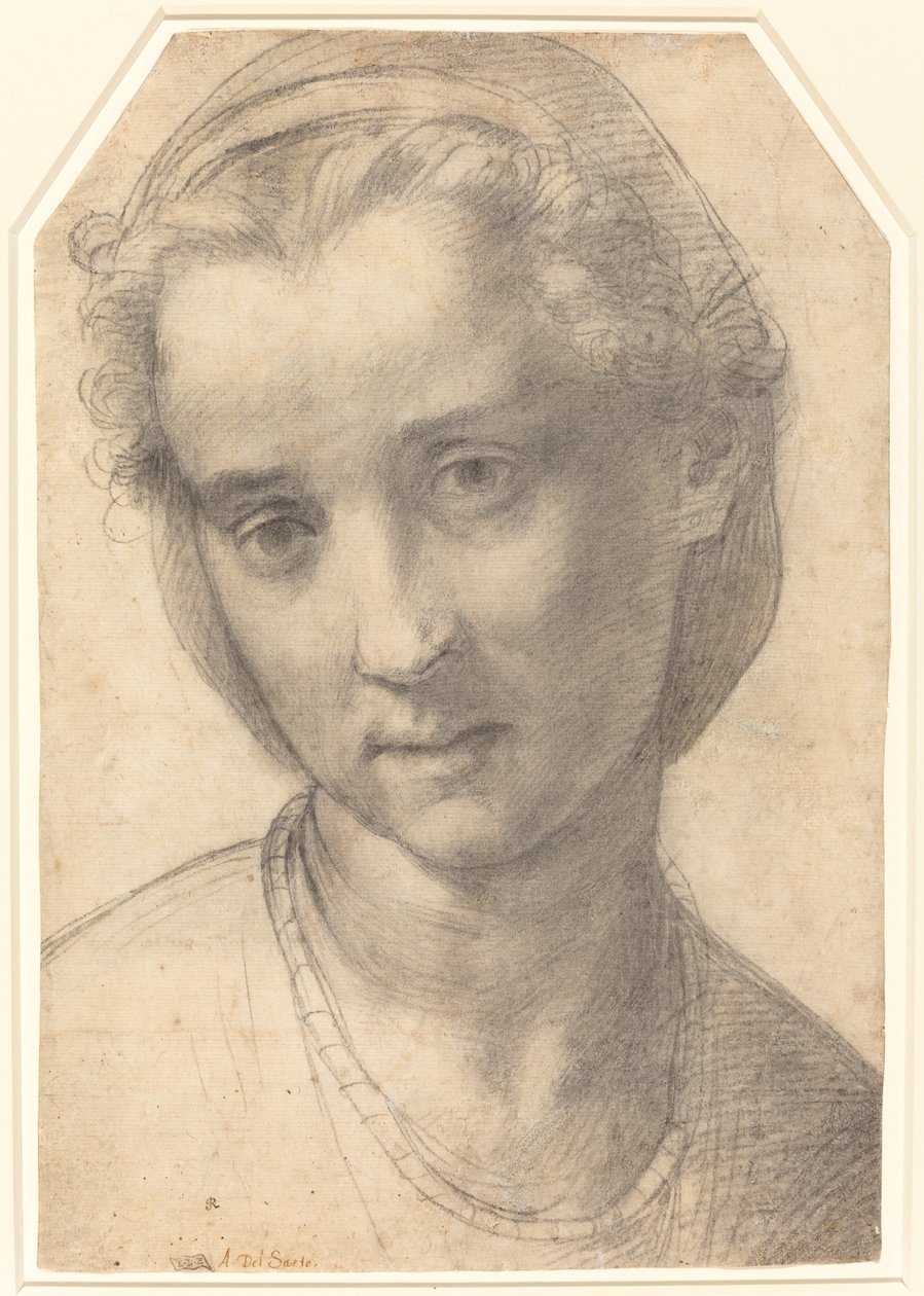 Głowa kobiety autorstwa Andrea del Sarto