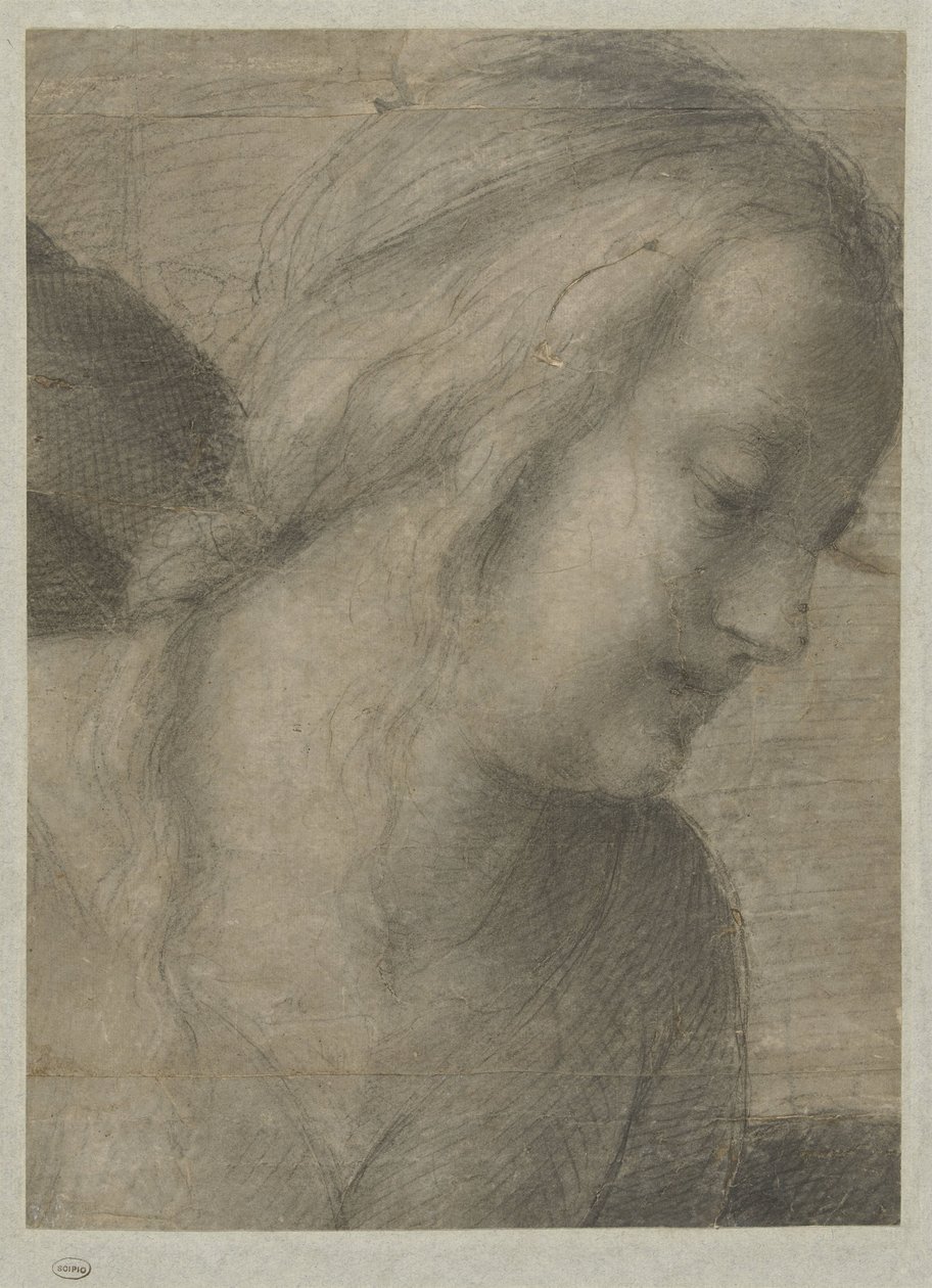 Głowa Maryi podczas adoracji autorstwa Andrea del Sarto