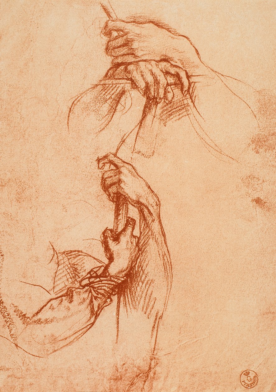 Studium rąk autorstwa Andrea del Sarto