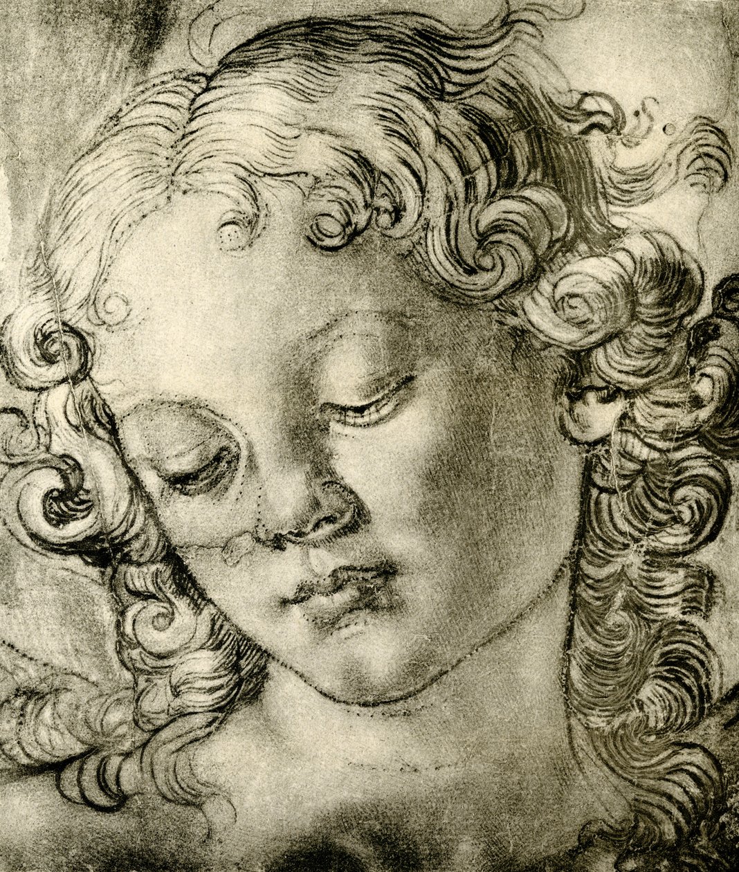 Głowa anioła autorstwa Andrea del Verrocchio