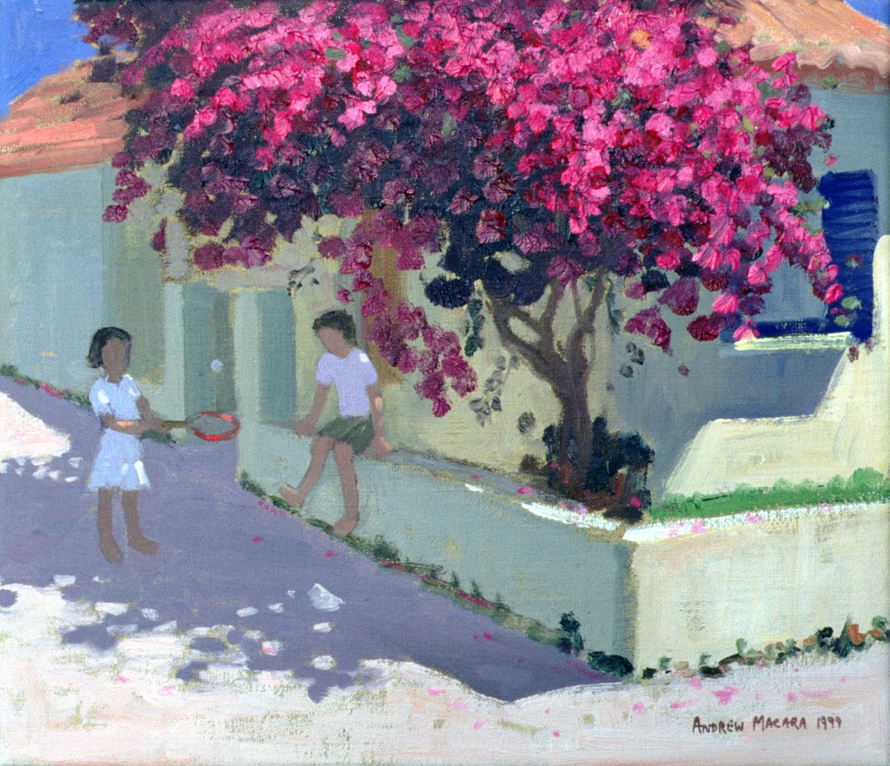 Bougainvillaea, Zante, 1999 autorstwa Andrew Macara