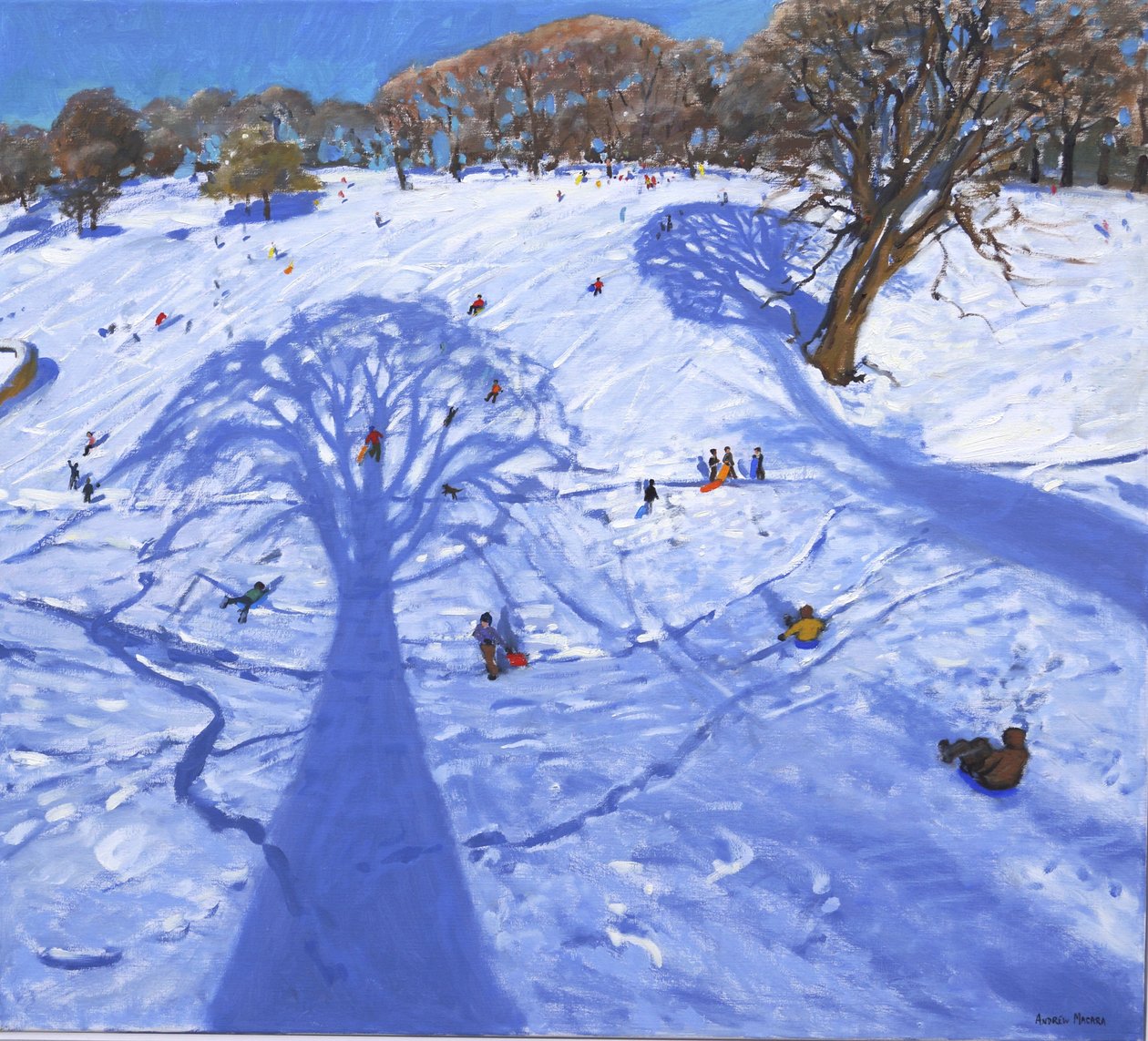 Chatsworth, zimowe cienie drzew, 2013, autorstwa Andrew Macara