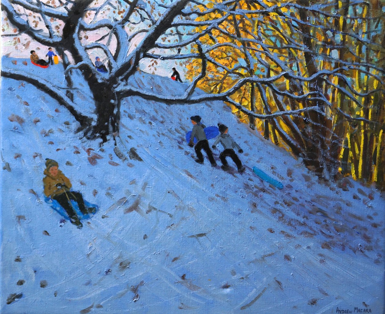 Jazda na sankach Pole golfowe Allestree (3 dołek) 2014 autorstwa Andrew Macara