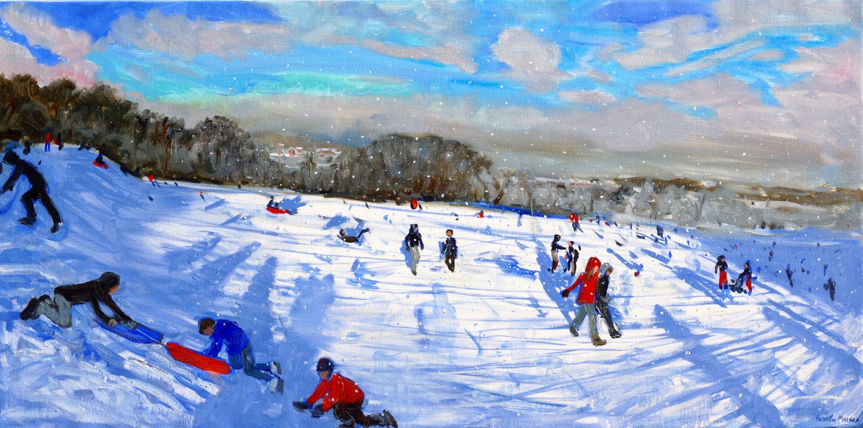 Śnieg, Allestree Park, Derby. autorstwa Andrew Macara