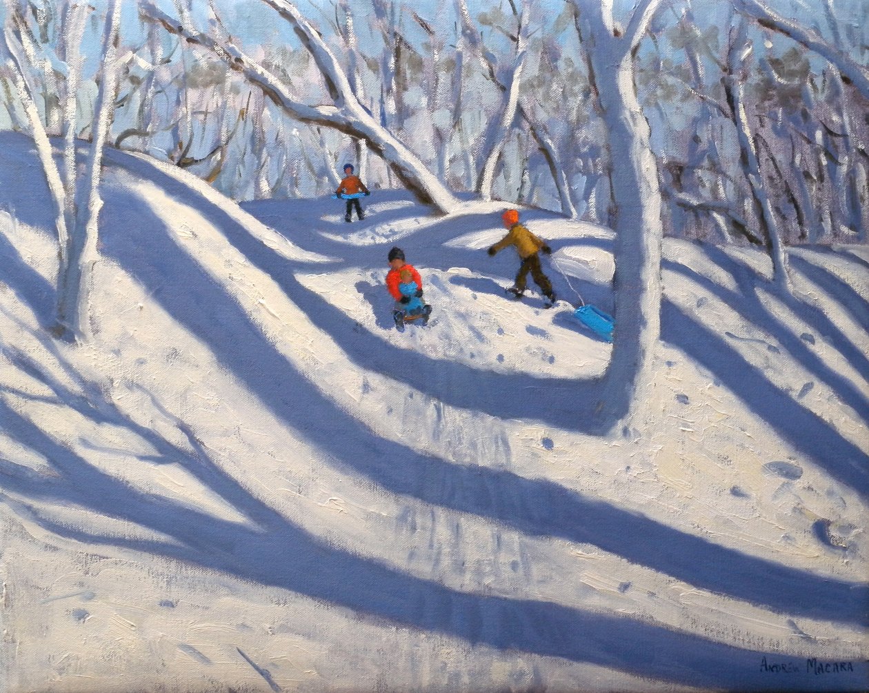 Zimowe Bramcote Nottingham, 2008 r. autorstwa Andrew Macara