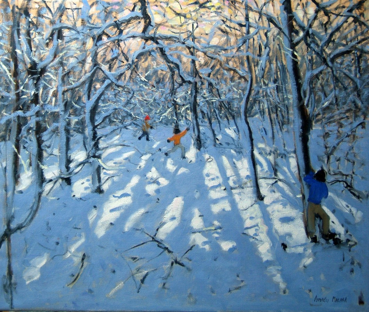 Zimowy las, niedaleko Newhaven, Derbyshire autorstwa Andrew Macara