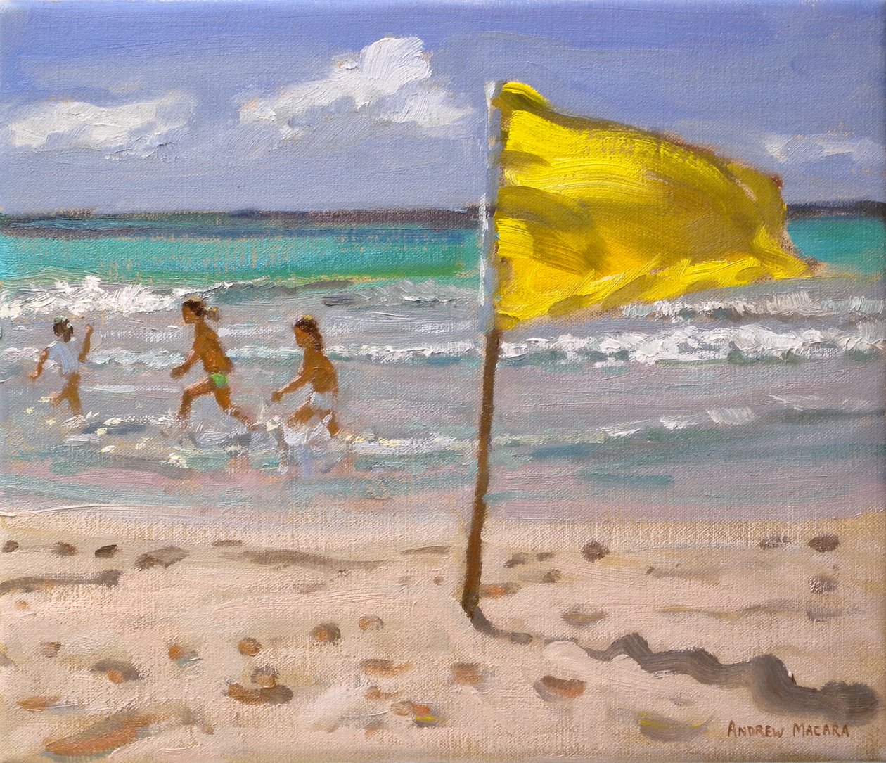 Żółta flaga, Barbados, 2010 autorstwa Andrew Macara