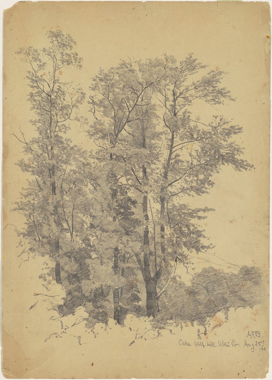 Oaks, Wolf Hill, Ulster County autorstwa Andrew Fisher Bunner